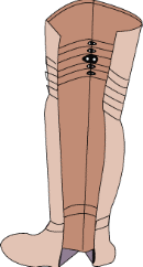 toro60.gif (6030 bytes)