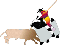 toro62.gif (6428 bytes)